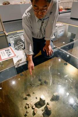 　北海道浦幌町立博物館で、地震の影響を受けひびが入った展示室のガラス＝２７日午前９時５８分