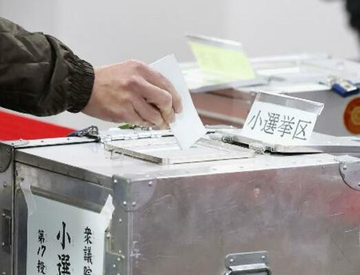 2月の衆院選で小選挙区の投票をする有権者=東京都内