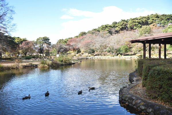 市がネーミングライツパートナーを募集した烏ケ森公園