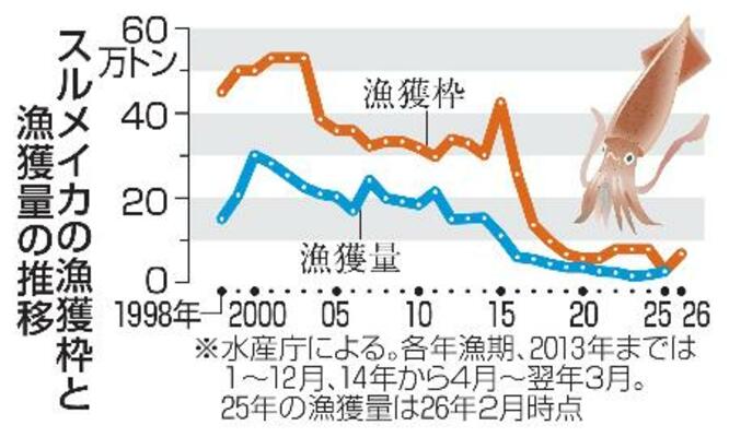 　スルメイカの漁獲枠と漁獲量の推移