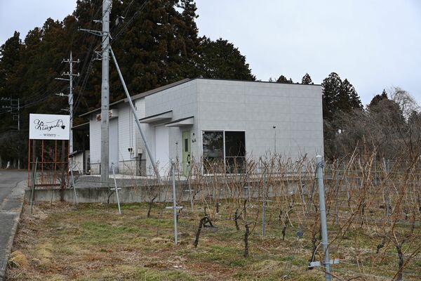 ブドウ畑とワイナリー「Ｙ’ｓＶｉｎｅｙａｒｄｓ」＝２月７日、那須塩原市関谷