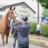 宇都宮白楊高生が校内を案内　県内高校唯一の馬術部、旧講堂…　小学生ら100人が散策