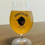 市内産蜂蜜使い地ビール開発　那須烏山の佐藤さん　醸造所設立も目指す