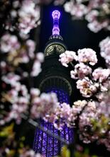 復興願い、東京の夜空に光の花