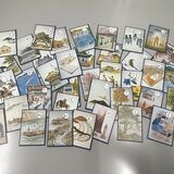 1982年誕生の「もてぎかるた」とは? 昭和の活気ある茂木町の姿が投影 ライン下り、キャンプ場...今はなき産業も