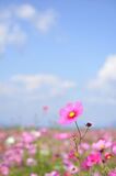 秋、乾燥　スキンケア