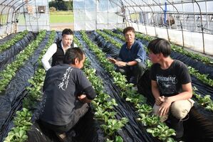 障害者施設の関係者にイチゴ栽培を教える細谷さん（右から２人目）