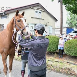宇都宮白楊高生が校内を案内　県内高校唯一の馬術部、旧講堂…　小学生ら100人が散策