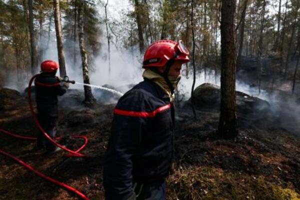 パリ近郊フォンテーヌブロー付近の森で続く山火事の消火作業=14日(ロイター=共同)