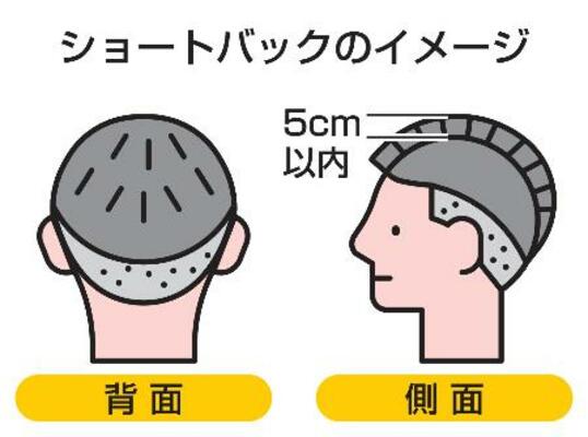 　ショートバックのイメージ