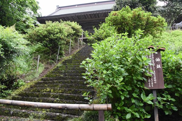 上り下りすると災いが起きると伝わる油坂