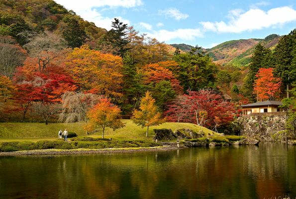 紅葉が見頃を迎えた古峯園