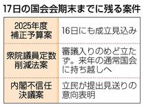 補正予算 １６日成立見込み