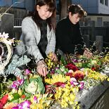 鹿沼・今宮神社で花手水 色とりどりキクなど浮かぶ