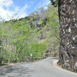佐野の林道・作原沢入線が５年ぶり全線開通　林業や観光への影響に期待