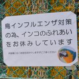 命守るため 続く緊張感　栃木県内動物園、鳥インフル警戒　触れ合い体験休…