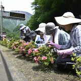 「心にオアシスを」といろは坂で植樹　鹿沼日光法人会女性部会