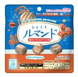 アイス表現したクッキー