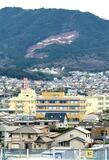 花粉対策 市が森林整備