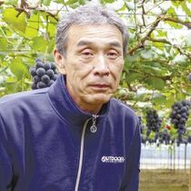 ＜187＞豊潤で甘い岩舟のブドウを全国に　ＪＡしもつけの「巨峰」