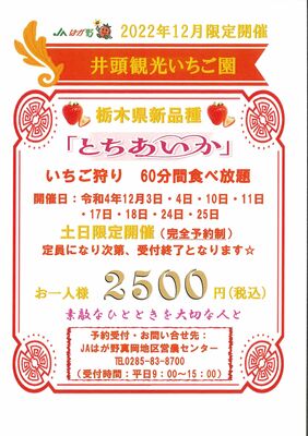 「とちあいか」のイチゴ狩りを案内するチラシ