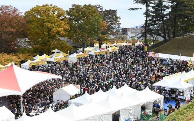 2日間で約16万人を集めた宇都宮餃子祭り