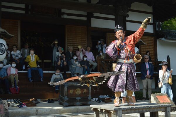 パンク町田さんの元から勢いよく飛び立つタカ