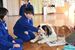 犬と触れ合う児童たち