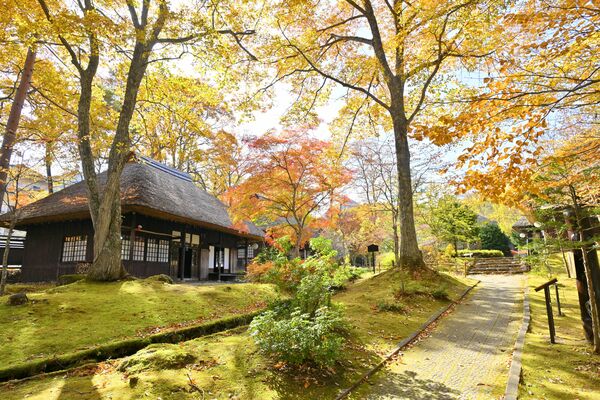 かやぶき屋根の建物の周囲を彩る紅葉＝７日午前11時50分、日光市湯西川温泉