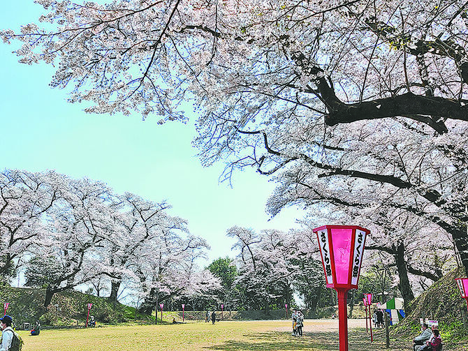 大田原市観光協会提供