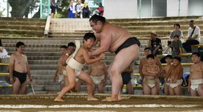 【夕刊】春日野部屋が６年ぶり夏合宿