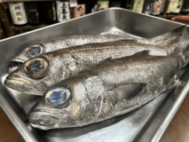 熱海ミニ横丁、4周年を迎えさらなる進化へ！ 累計来場者数6万人突破！料理100種以上！酒1,000種以上！