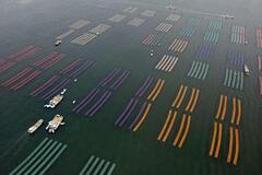 佐賀のり、日本一奪還へ