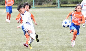 ８強決定 ４チームが全試合無失点 サッカー 栃木県ｕ10選手権 スポーツ 下野新聞 Soon ニュース 県少年サッカー特集 下野新聞 Soon スーン