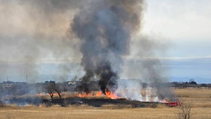 渡良瀬遊水地で発生した火災=27日午後（読者提供）