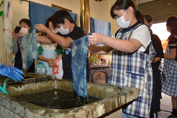 佐野産の藍を使って藍染めを体験する児童