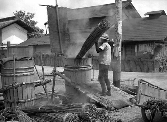 南摩地区で盛んに行われていた麻の湯通し作業＝１９５６年