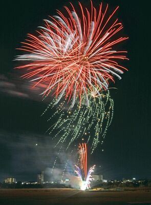 足利の夜空を彩った花火