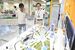 展示されているジオラマ模型＝２９日午前、宇都宮市役所