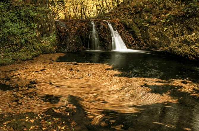 「晩秋」阿久津ハツヱ（宇都宮）