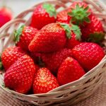 栃木県産「とちあいか」１位！　イチゴ人気投票イベント　終盤に猛追、いちご王国の面目躍如　ライバルあまおうは…