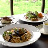 体と心に優しい味わい　揚げなすのトマトソーススパゲッティのランチセット…