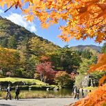 清らかなせせらぎと紅葉狩り　鹿沼・古峯神社の庭園で紅葉が最盛期