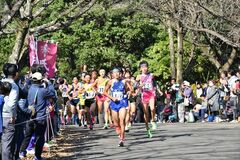 2019県中学駅伝・男子