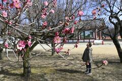 史跡と紅白 調和