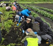 農業の楽しさ家族連れ実感