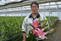 ＜104＞宇都宮のユリ出荷最盛期　美しく上品に春彩る　品質向上へ「常に勉強」
