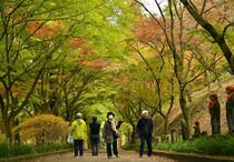 佐野・金蔵院で紅葉見頃