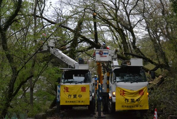 道路をふさいだ倒木の撤去作業をする作業員＝９日午後３時30分、足利市本城３丁目