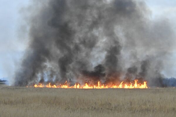 渡良瀬遊水地で発生したヨシ原の火災＝27日午後４時45分、栃木市藤岡町内野